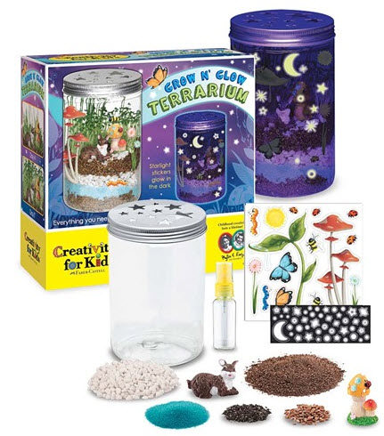 Terrarium Kit